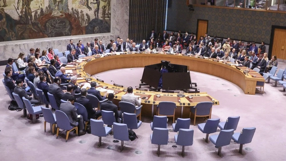 Вантажне судно в Чорному морі та засідання Ради Безпеки ООН